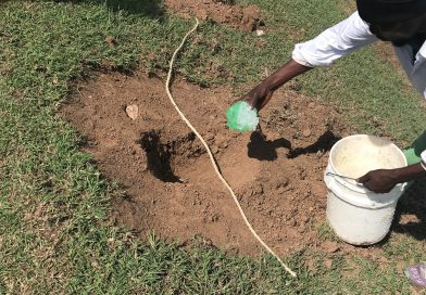 Realizarán Jornada de Reforestación en Botoncillo, San José de las Matas