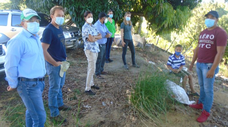 Integrantes misión del CIRAD comparten con un productor de macdamia