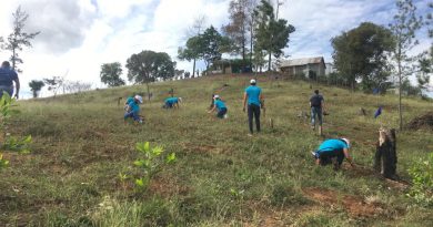 Segunda Jornada de Reforestación 2020 con Voluntariado Banco Popular