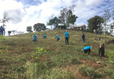 Segunda Jornada de Reforestación 2020 con Voluntariado Banco Popular