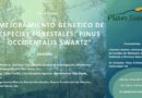 Plan Sierra celebra Panel Virtual sobre Mejoramiento Genético de Especies Forestales: Pinus occidentalis Sw.